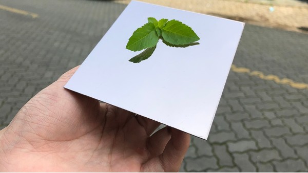 為什么彩色不銹鋼裝飾板會大受歡迎？